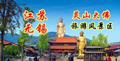 91中文国产江苏无锡灵山大佛旅游风景区